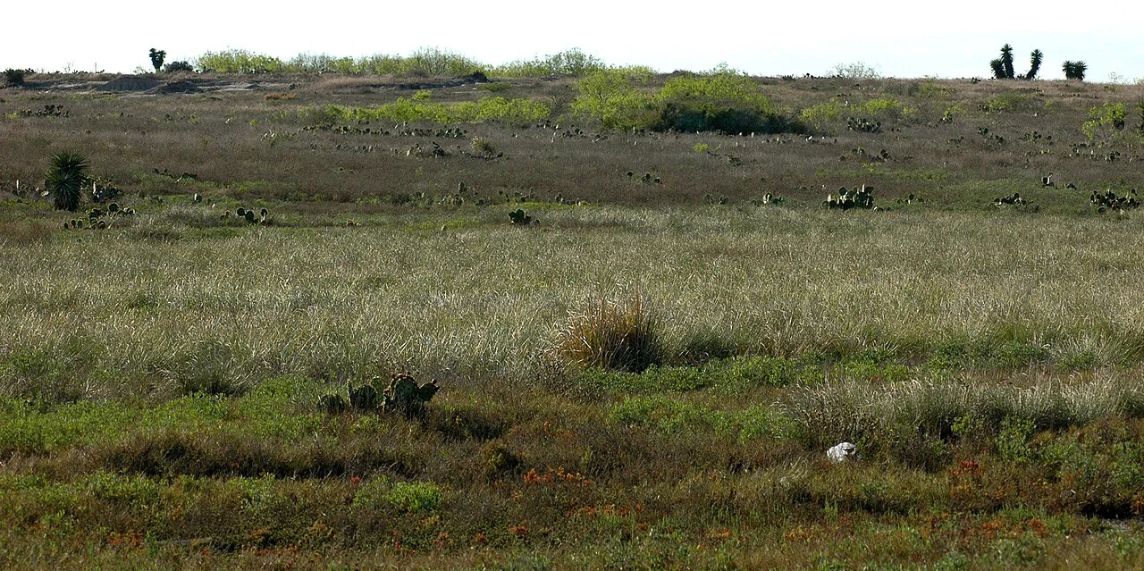 Photo of El Galaneño