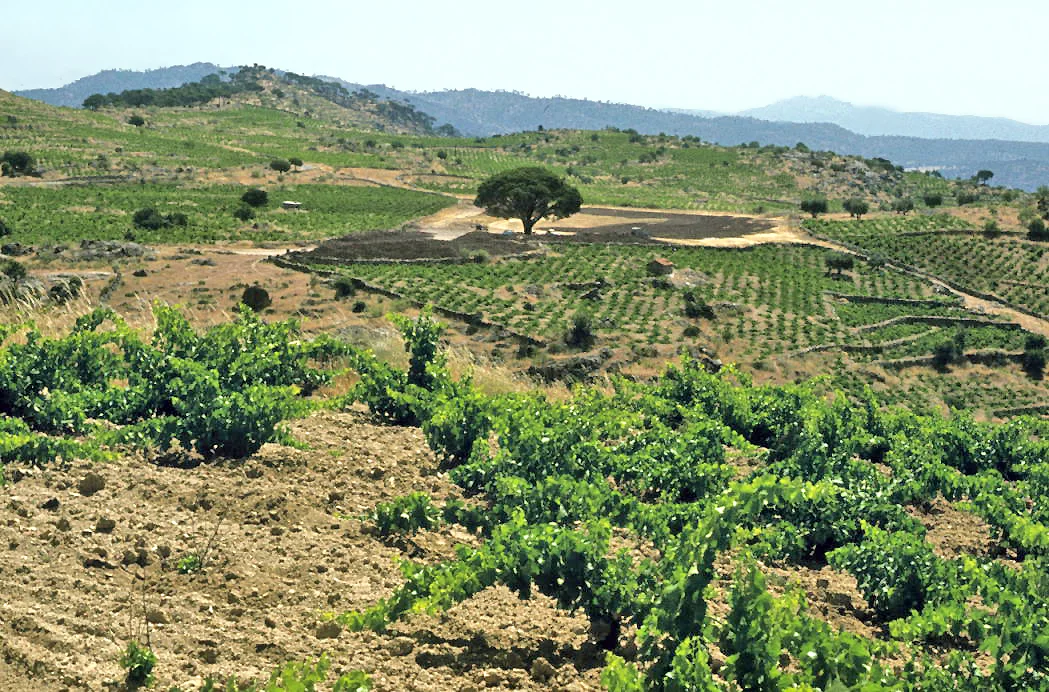 Photo of El Hoyo de Pinares