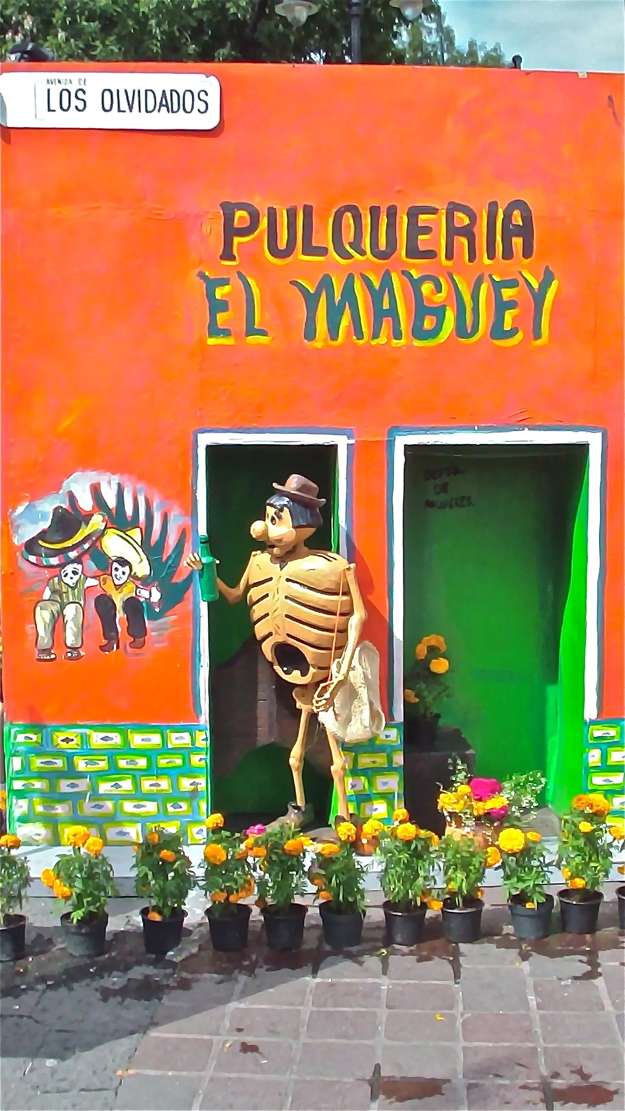 Photo of El Maguey