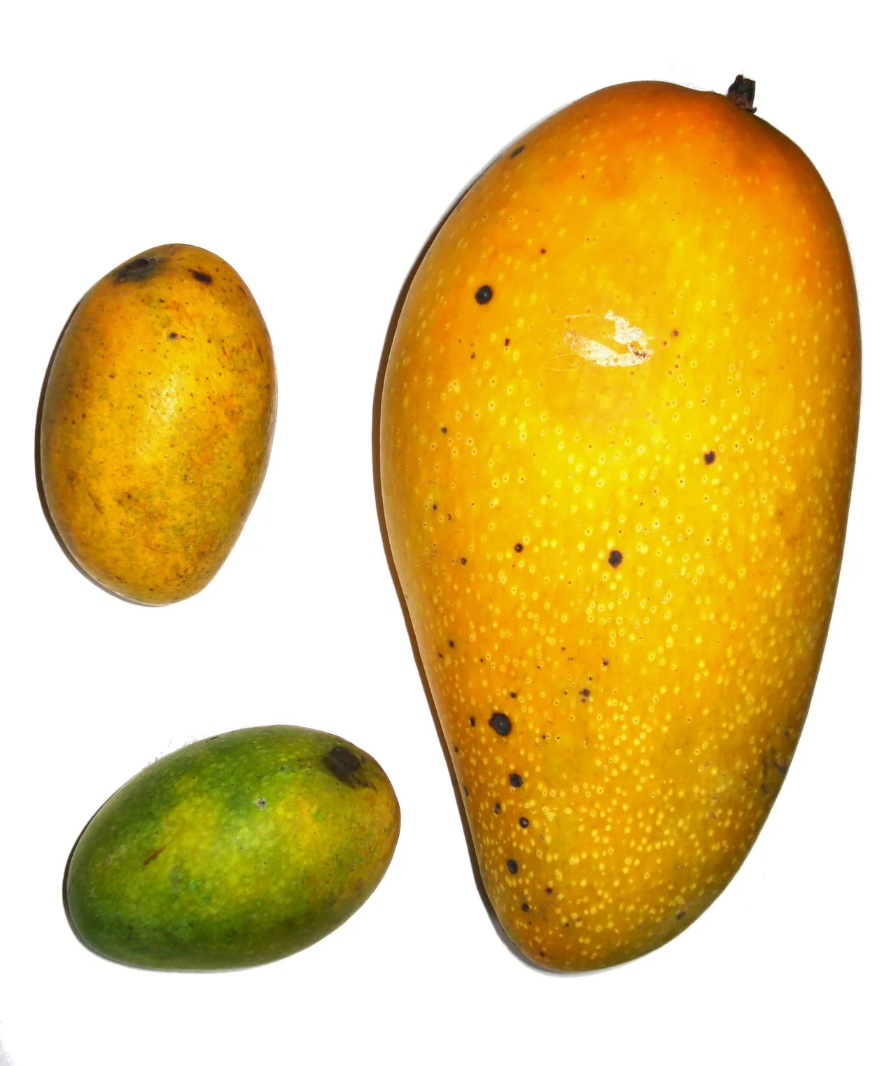 Photo of El Mango