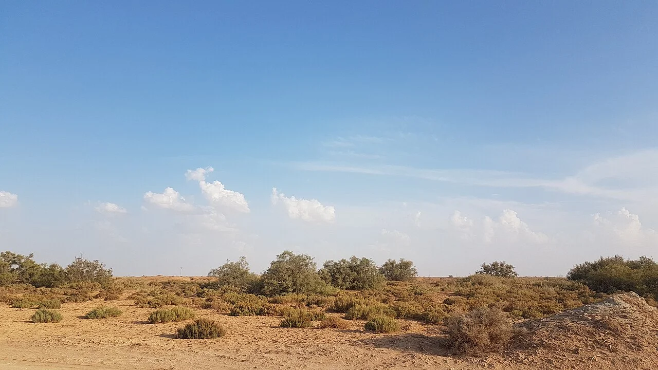 Photo of El Meghaïer