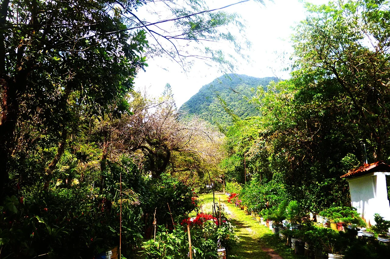 Photo of El Níspero