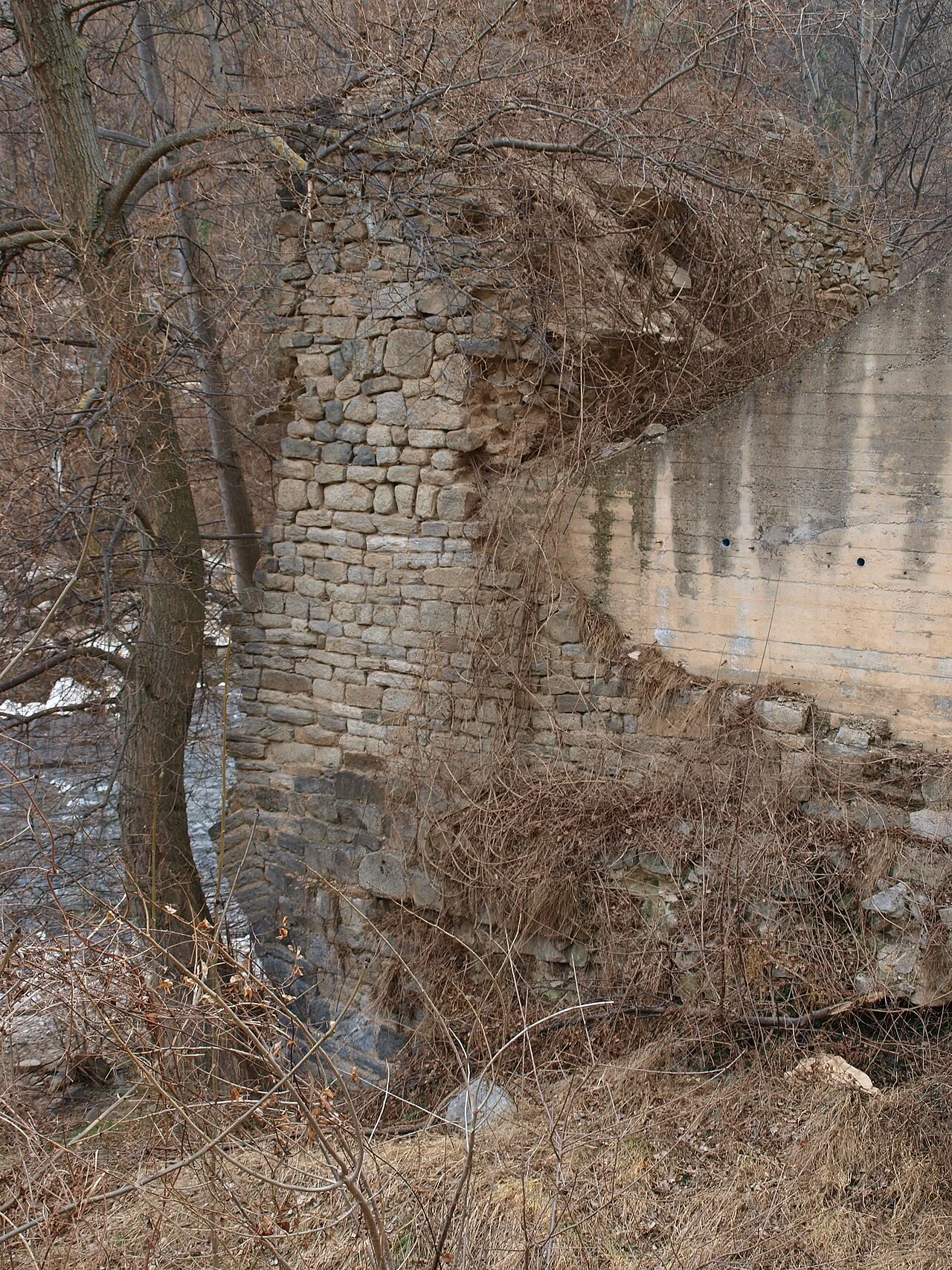 Photo of el Pont de Bar