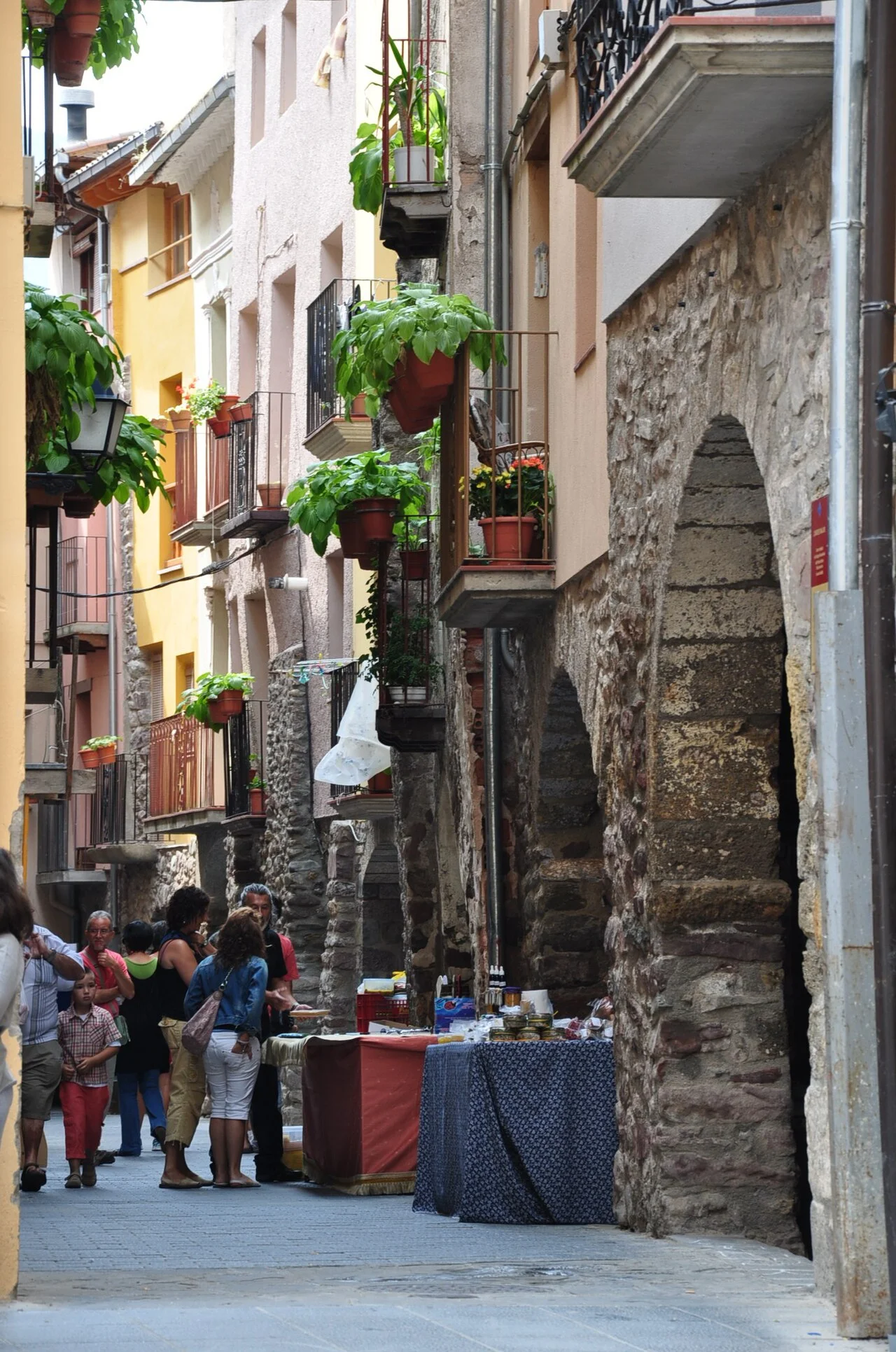 Photo of el Pont de Suert