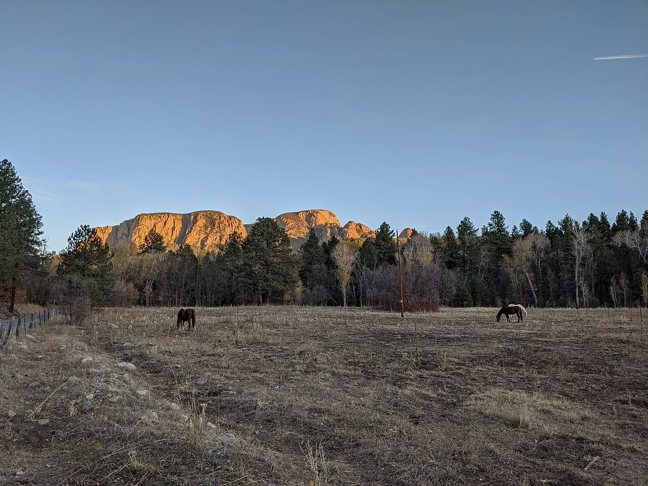 Photo of El Porvenir