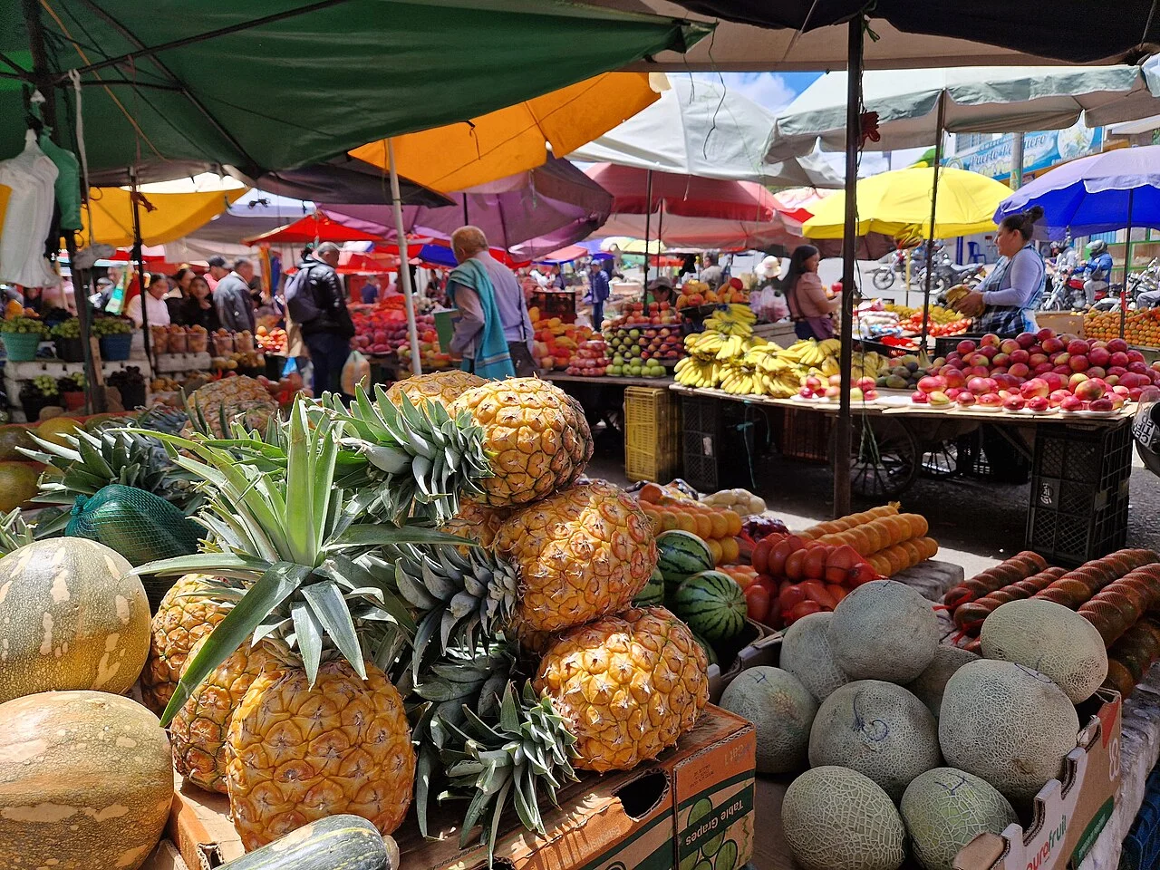 Photo of El Potrerillo (Potrerillo del Rincón)