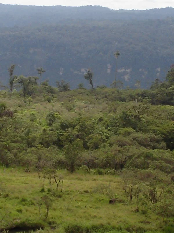 Photo of El Reventador