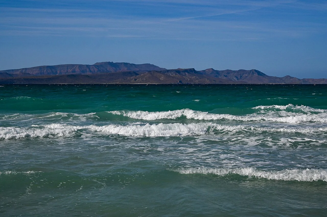 Photo of El Tecolote