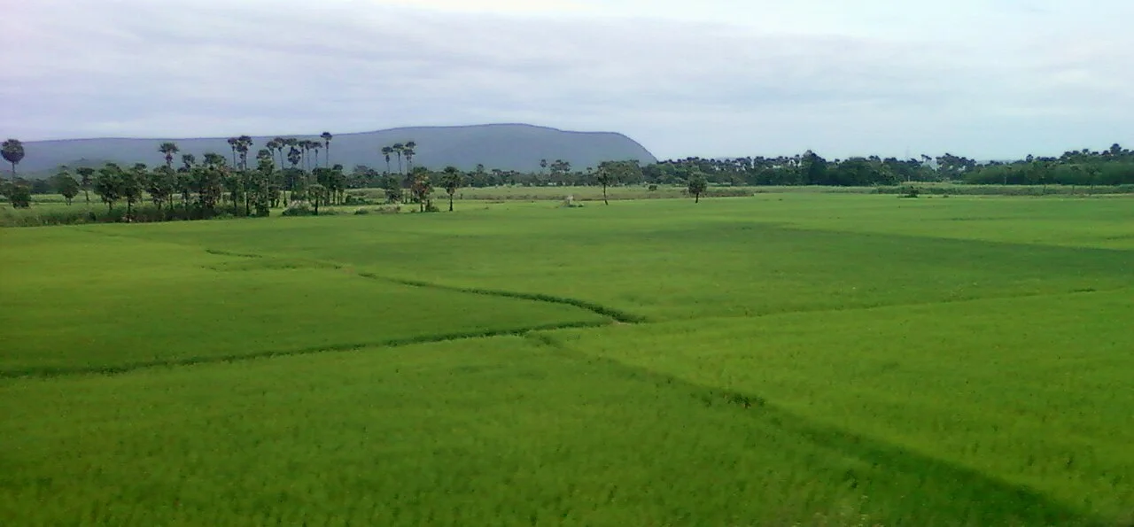 Photo of Elamanchili