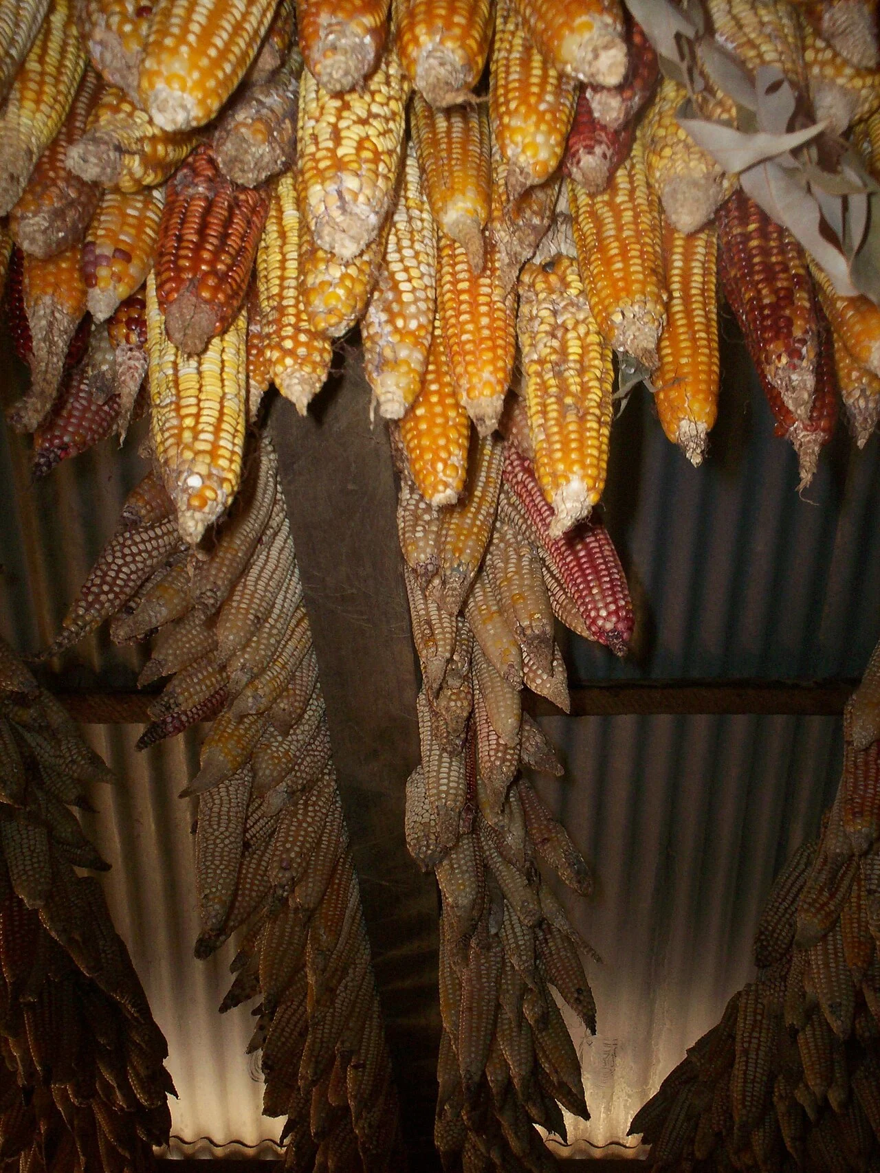 Photo of Eloxochitlán