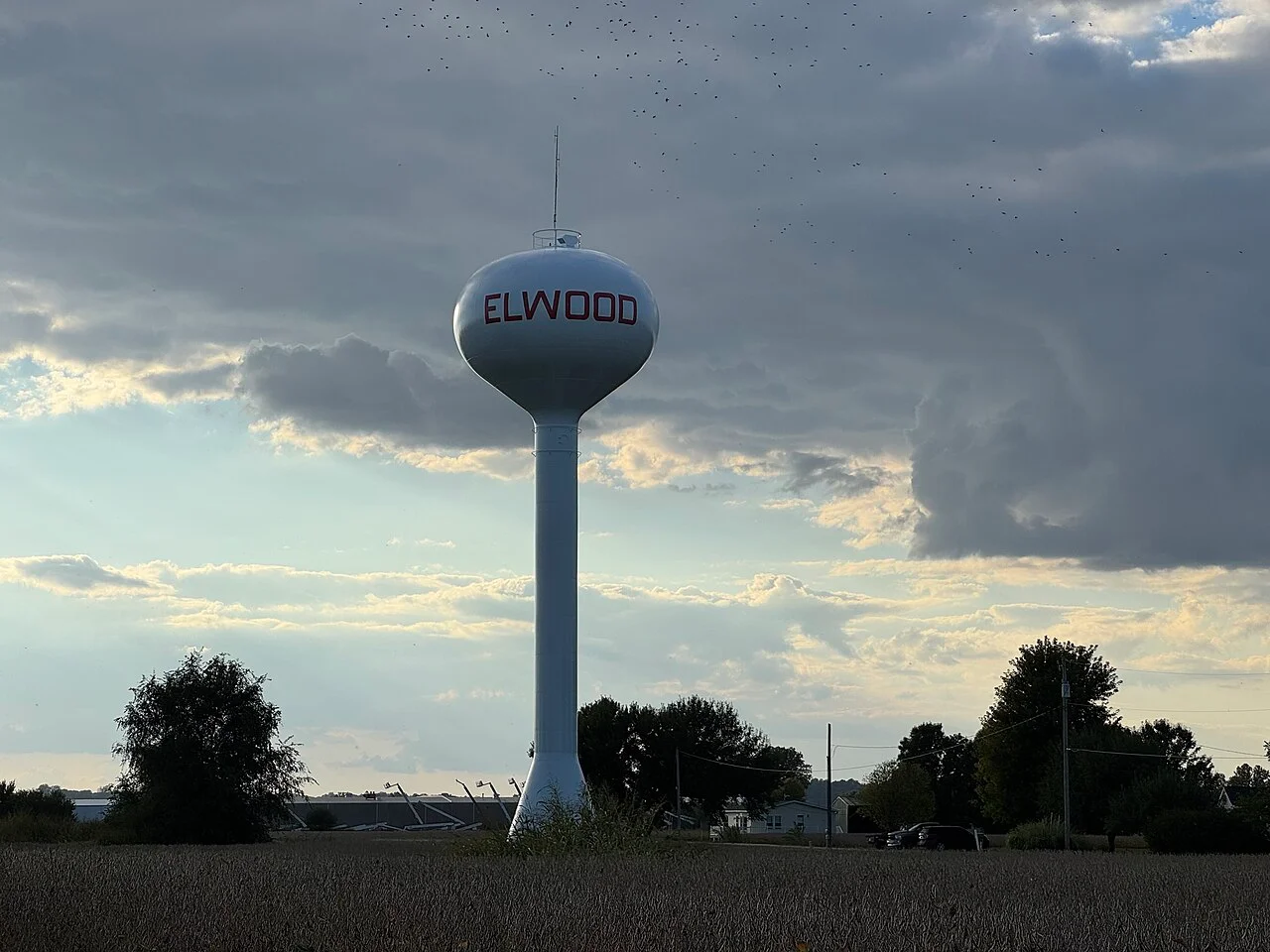 Photo of Elwood