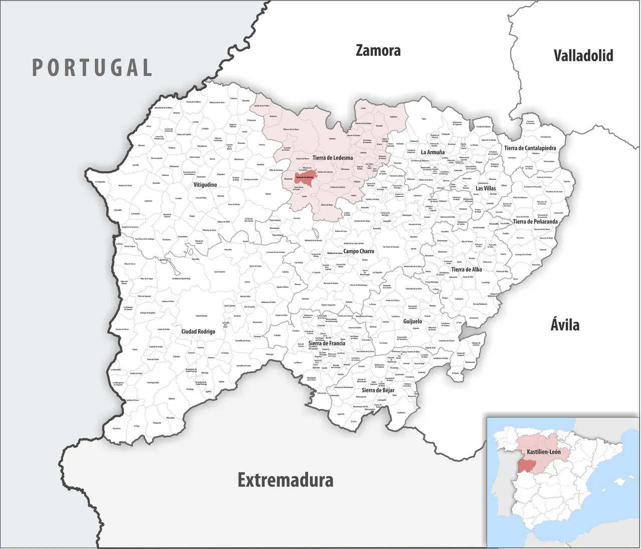 Photo of Encina de San Silvestre