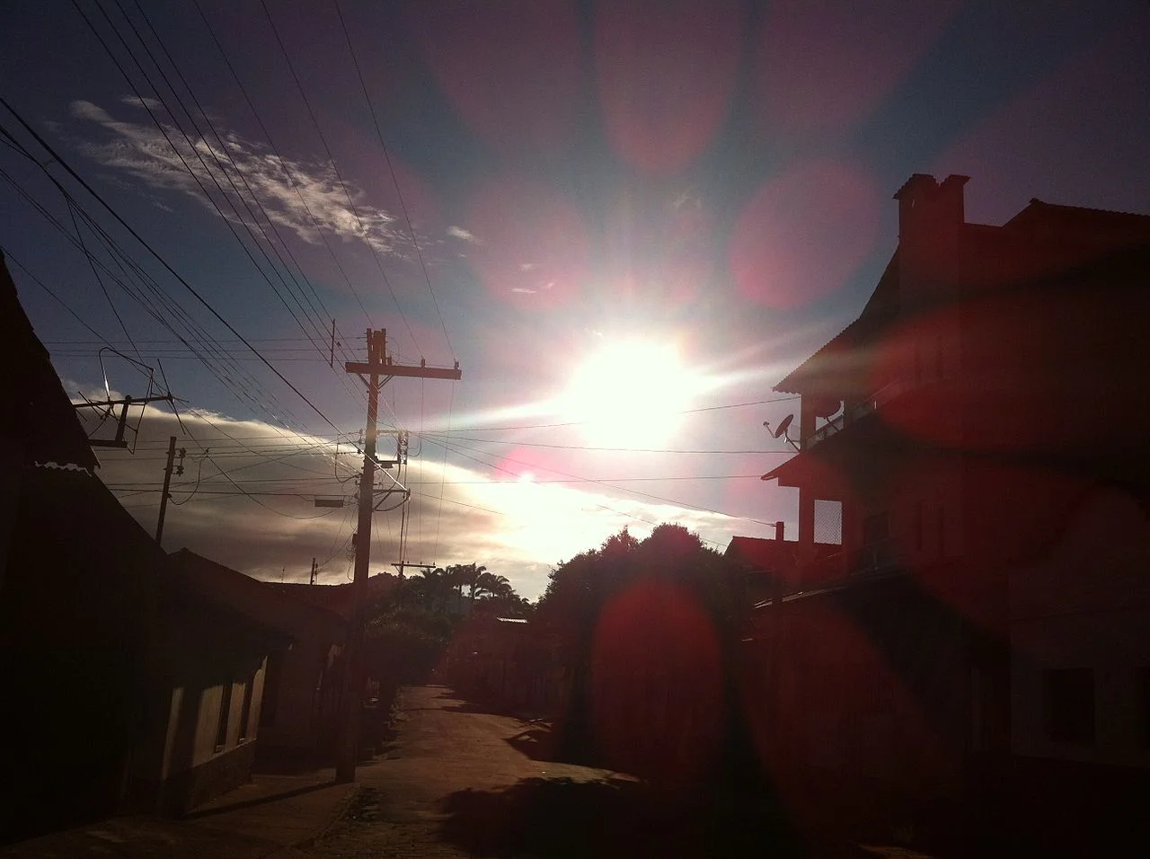 Photo of Entre Folhas