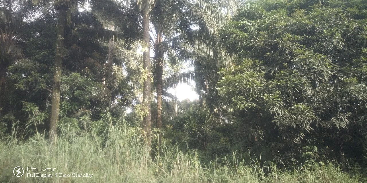 Photo of Enugu-Ezike