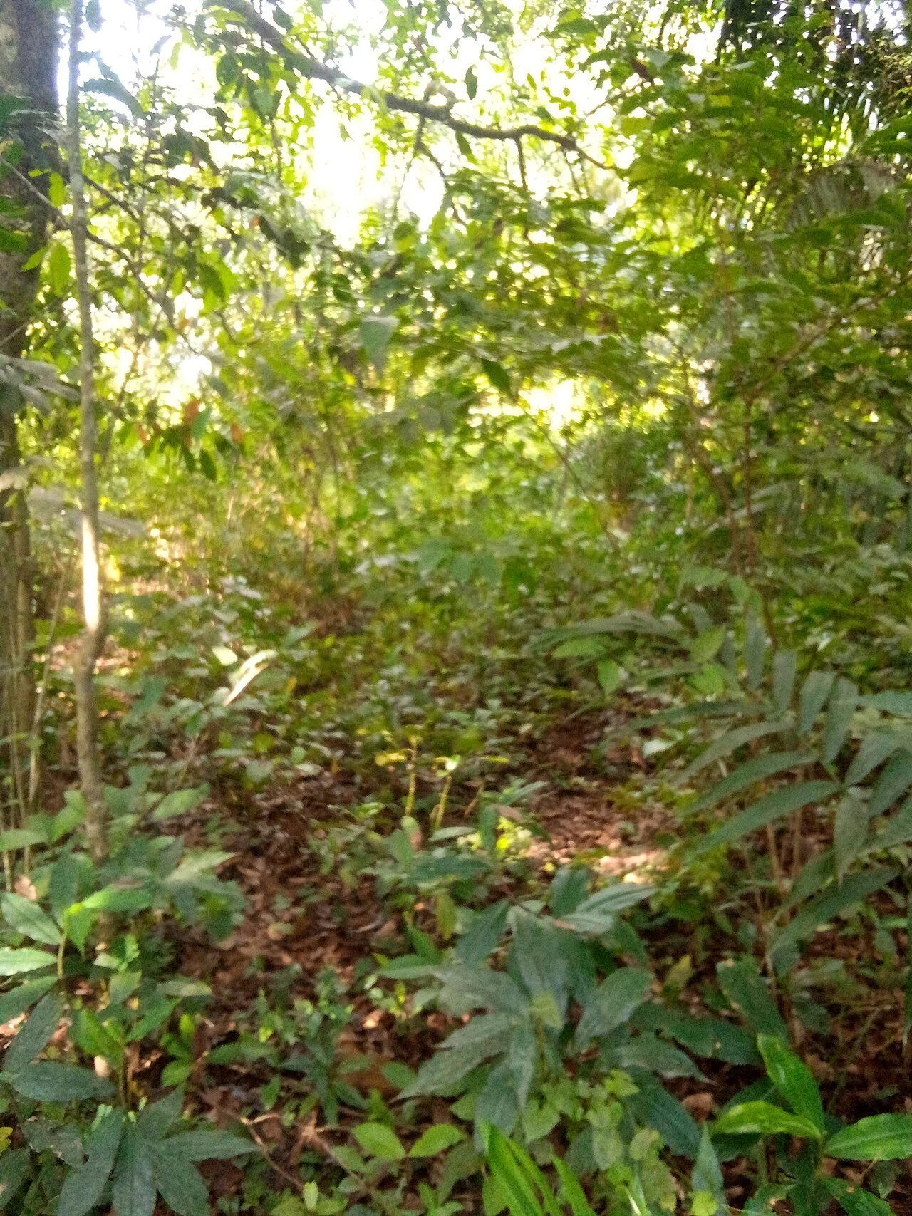 Photo of Enugu-Ezike