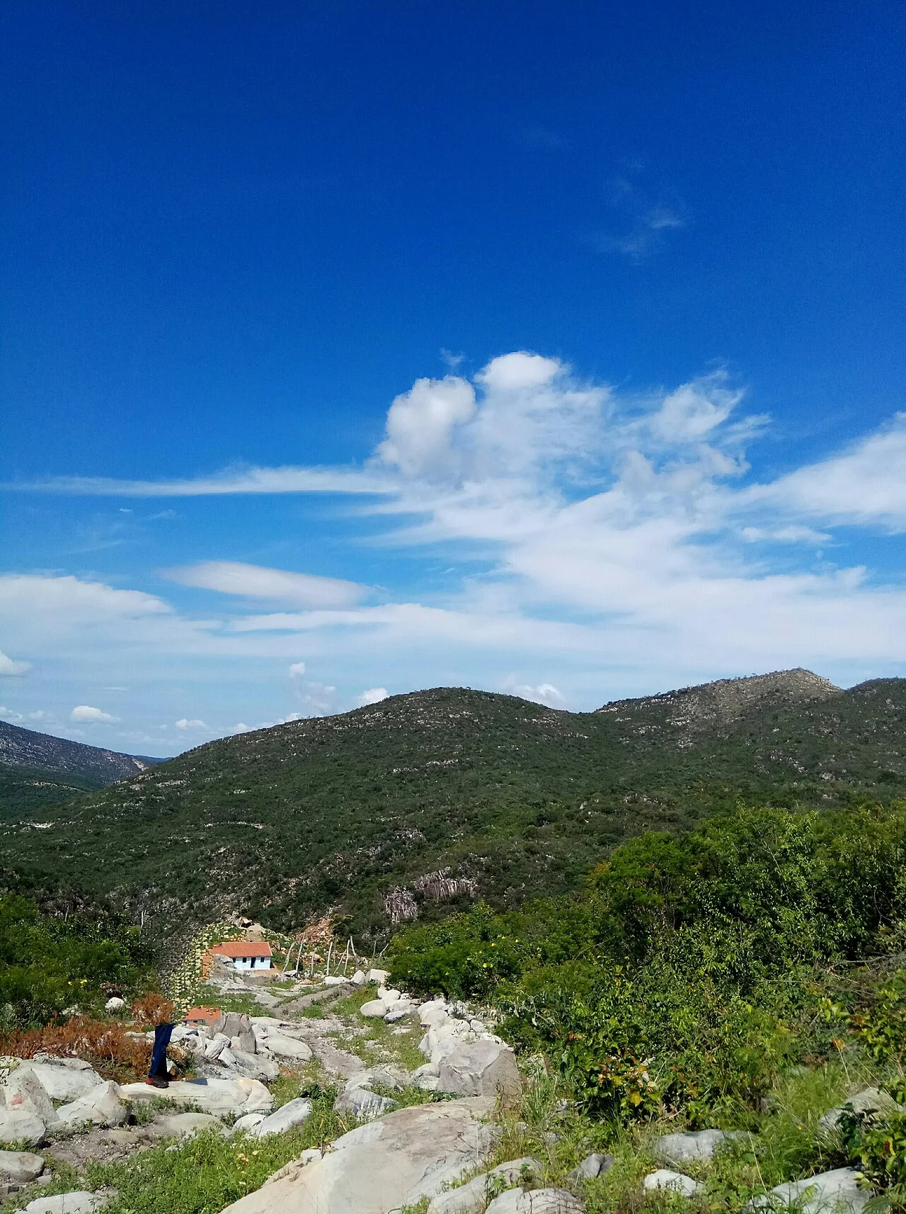 Photo of Érico Cardoso