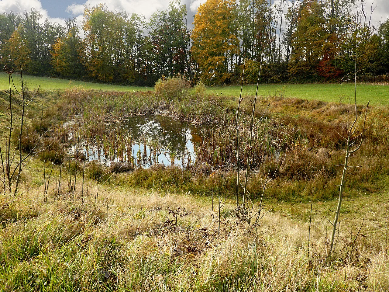 Photo of Erkenbrechtsweiler