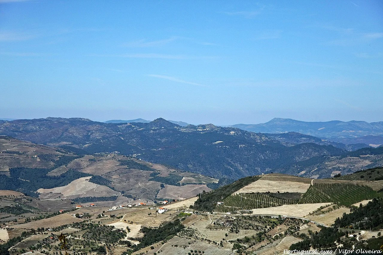 Photo of Ervedosa do Douro