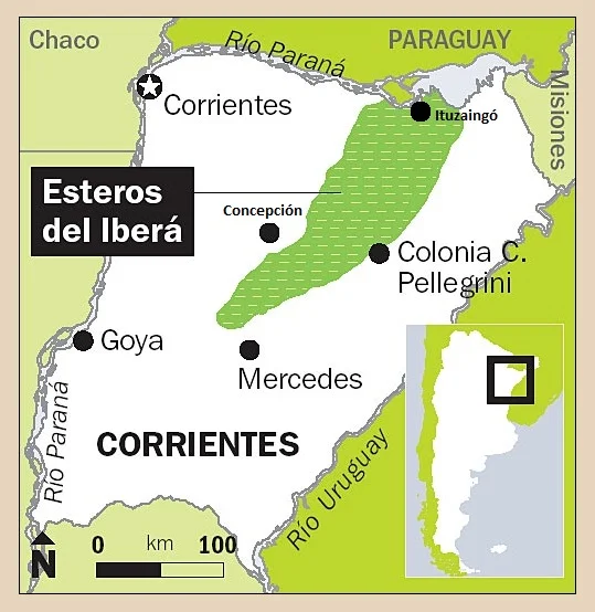 Photo of Esteros