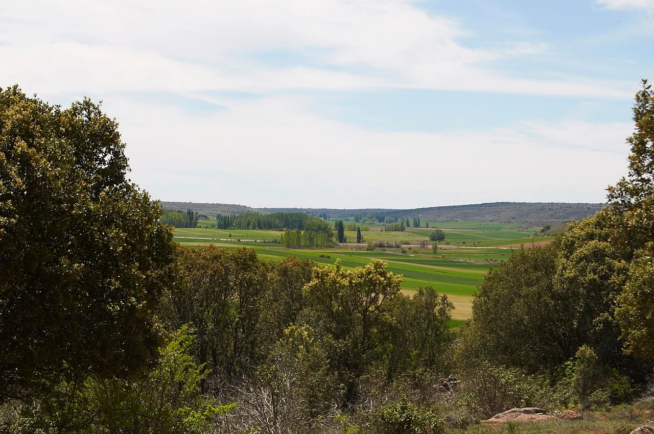 Photo of Estriégana