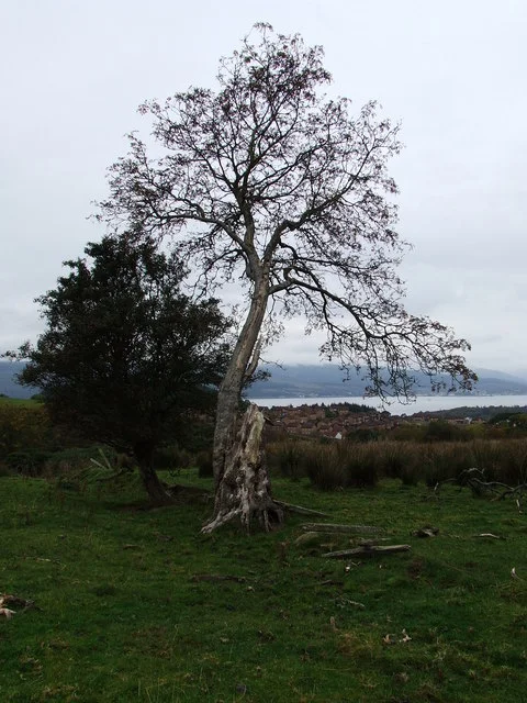 Photo of Everton Hills