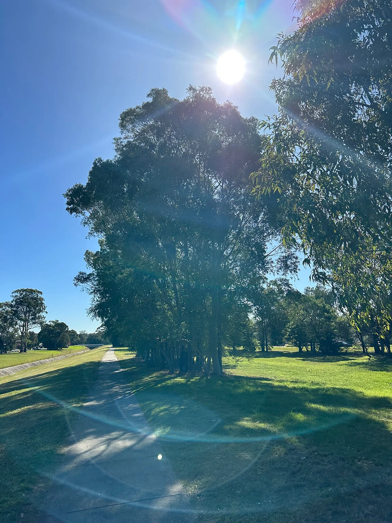 Photo of Fairfield West