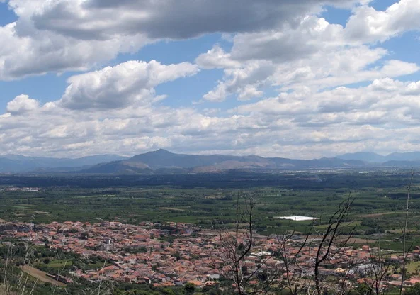 Photo of Falciano del Massico