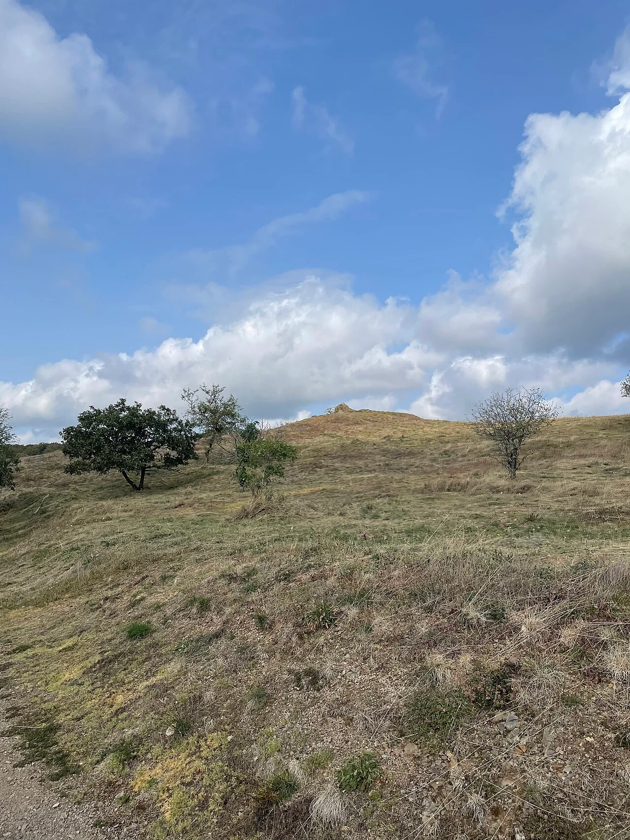 Photo of Falkenstein