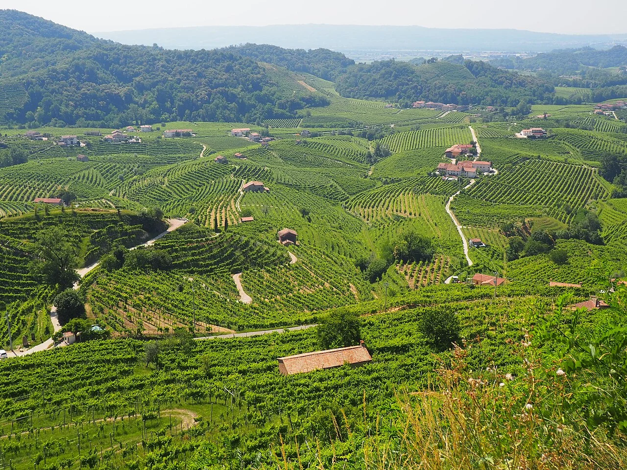 Photo of Farra di Soligo