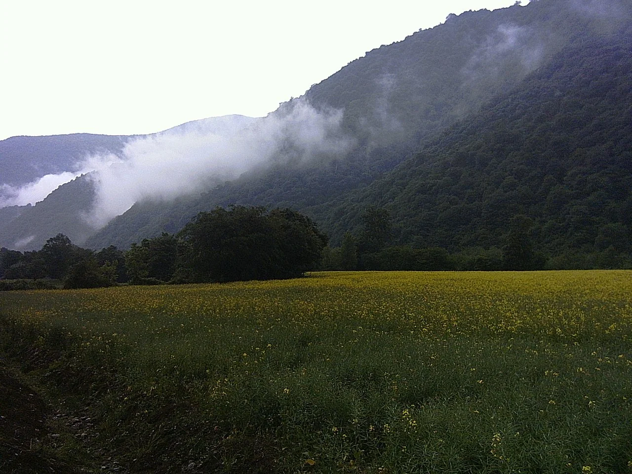 Photo of Fāẕelābād