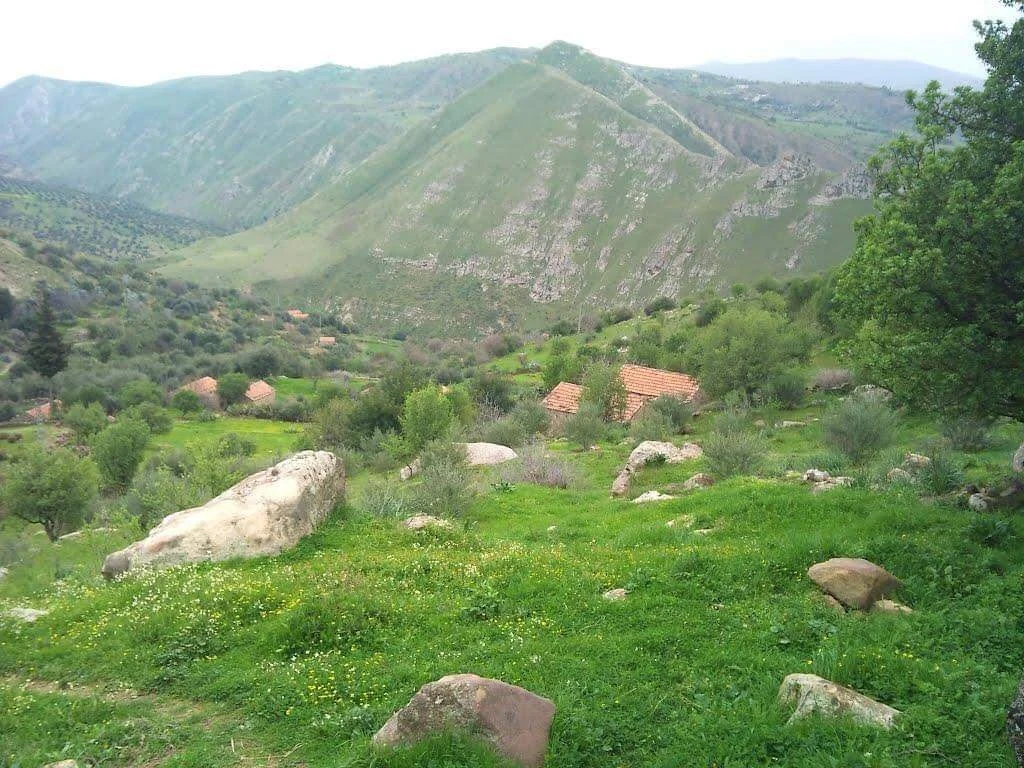 Photo of Fedj M’Zala