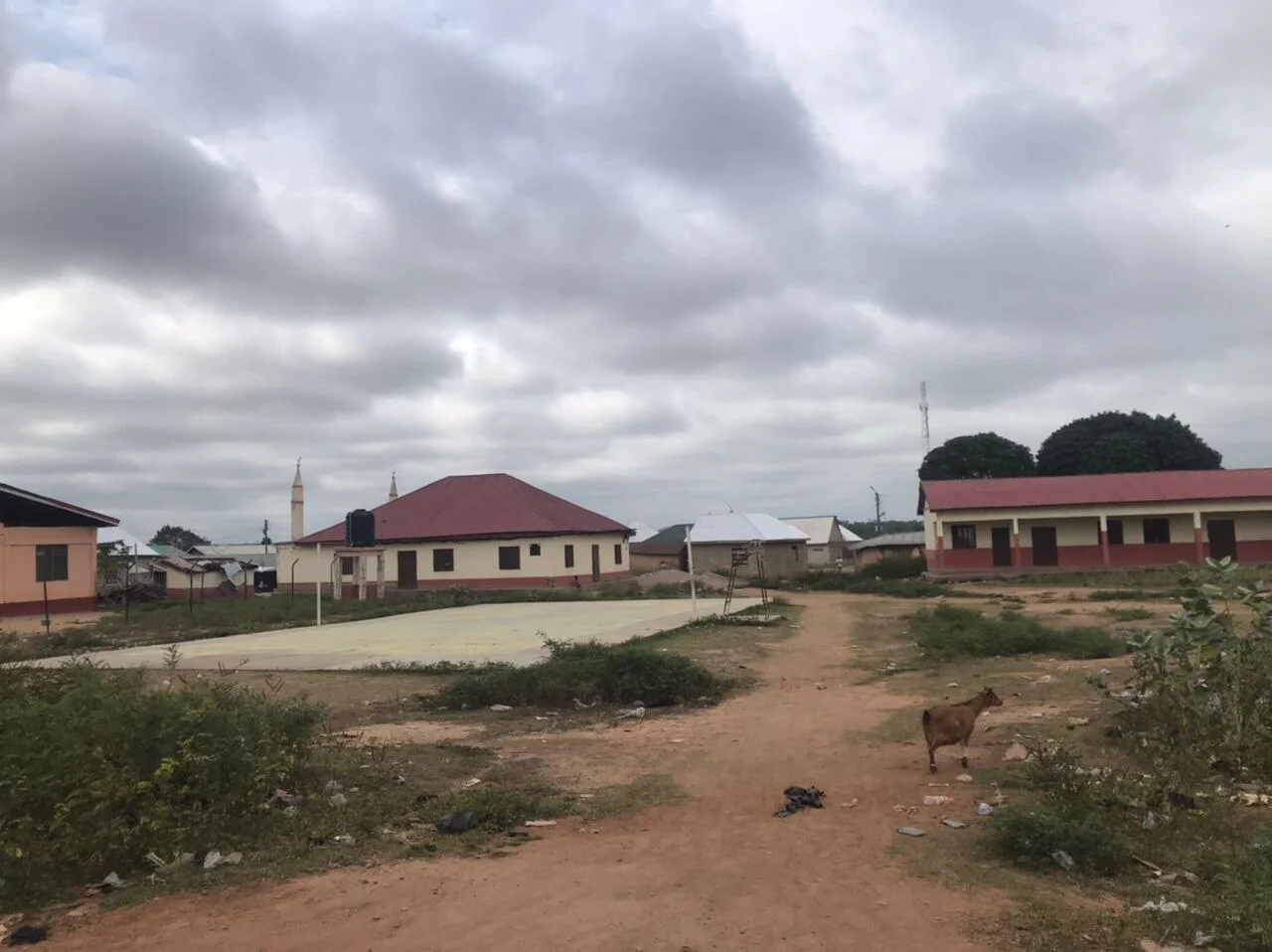 Photo of Felege Neway