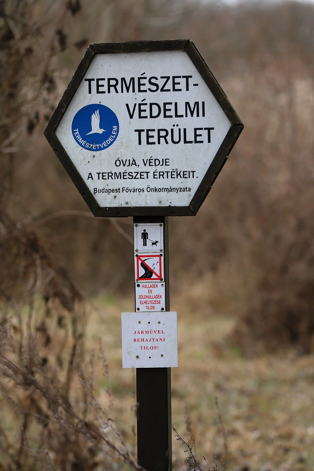 Photo of Felsőrákos