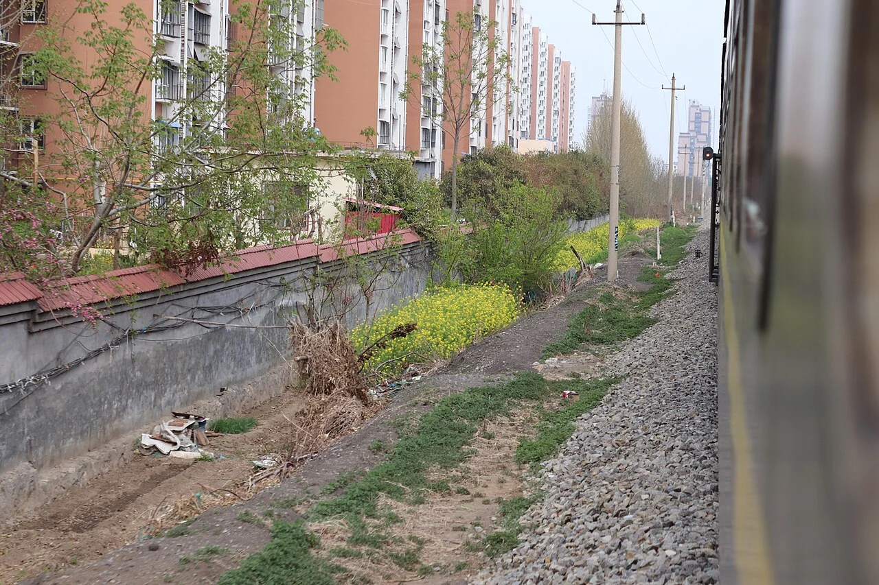 Photo of Fengfengkuang