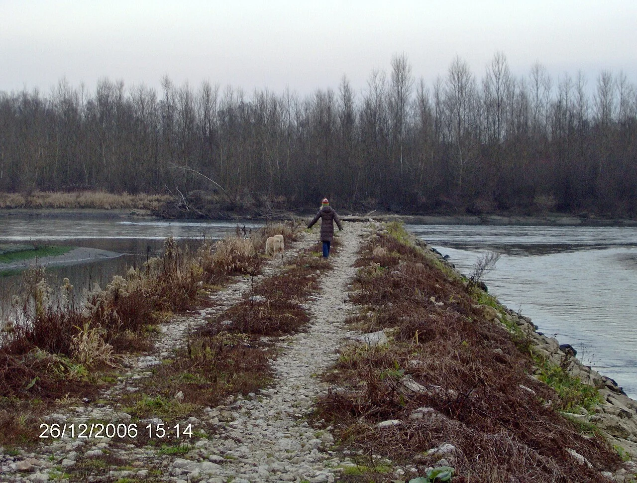 Photo of Ferdinandovac