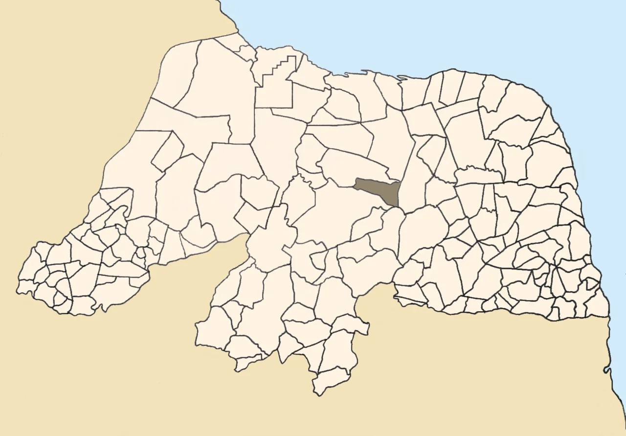 Photo of Fernando Pedroza