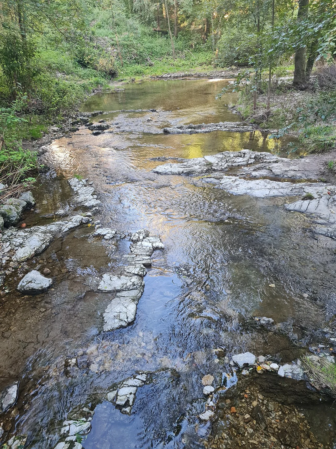 Photo of Ferrera di Varese