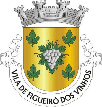 Photo of Figueiró dos Vinhos
