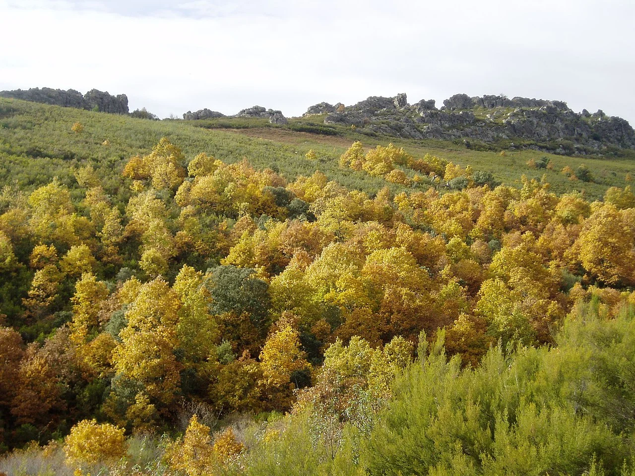 Photo of Figueruela de Arriba
