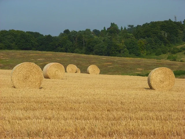 Photo of Flackwell Heath