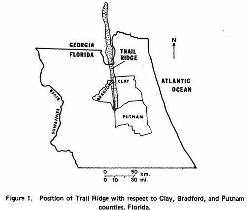 Photo of Florida Ridge