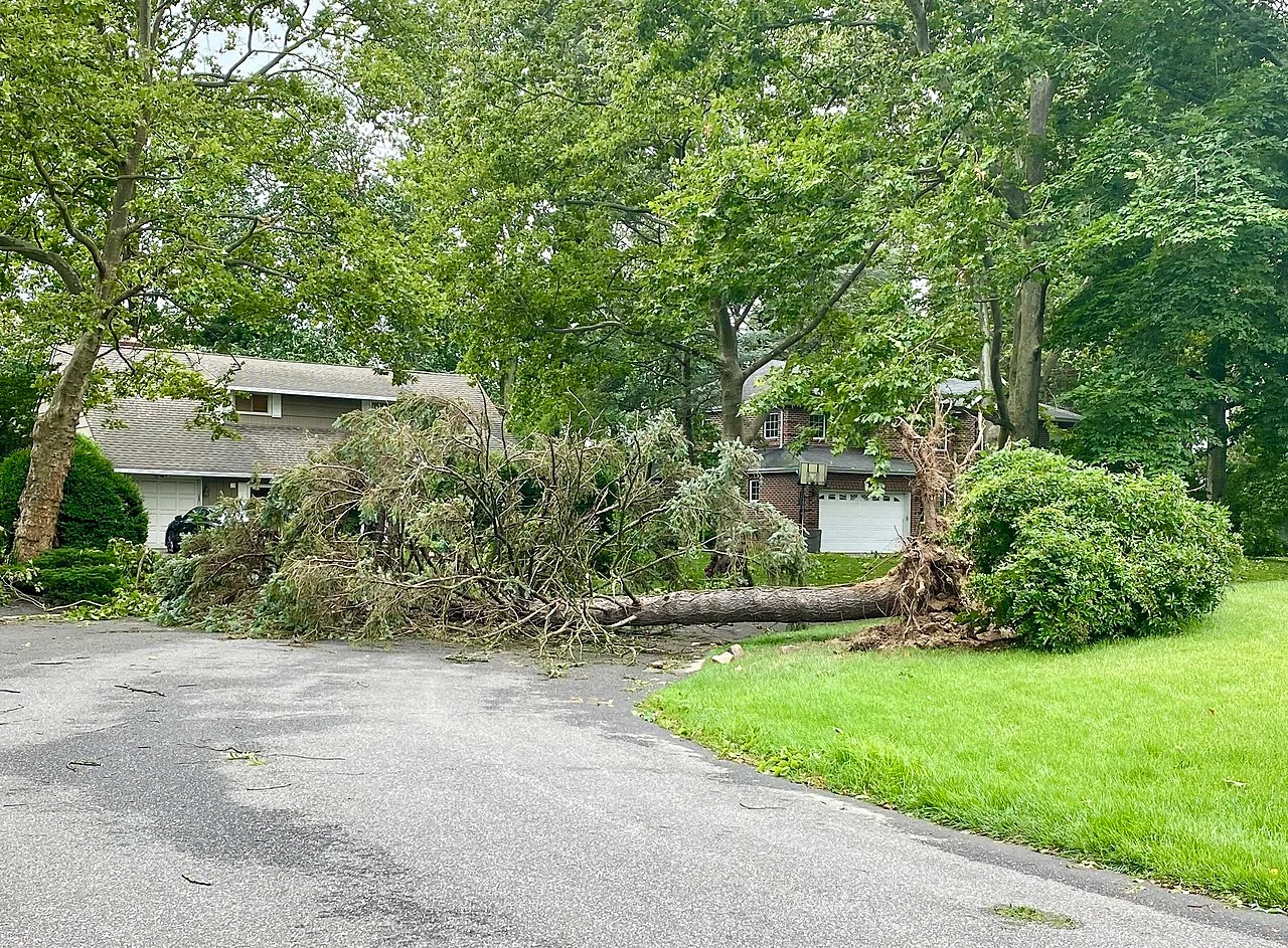 Photo of Flower Hill