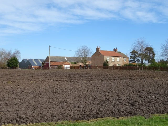 Photo of Forest Hill