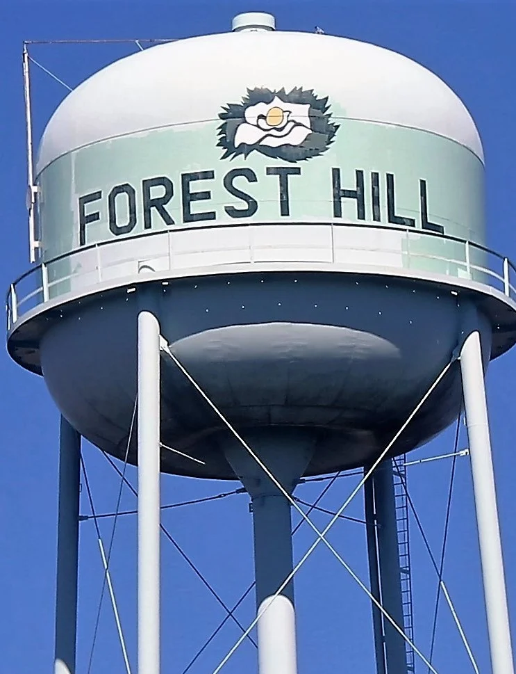 Photo of Forest Hill