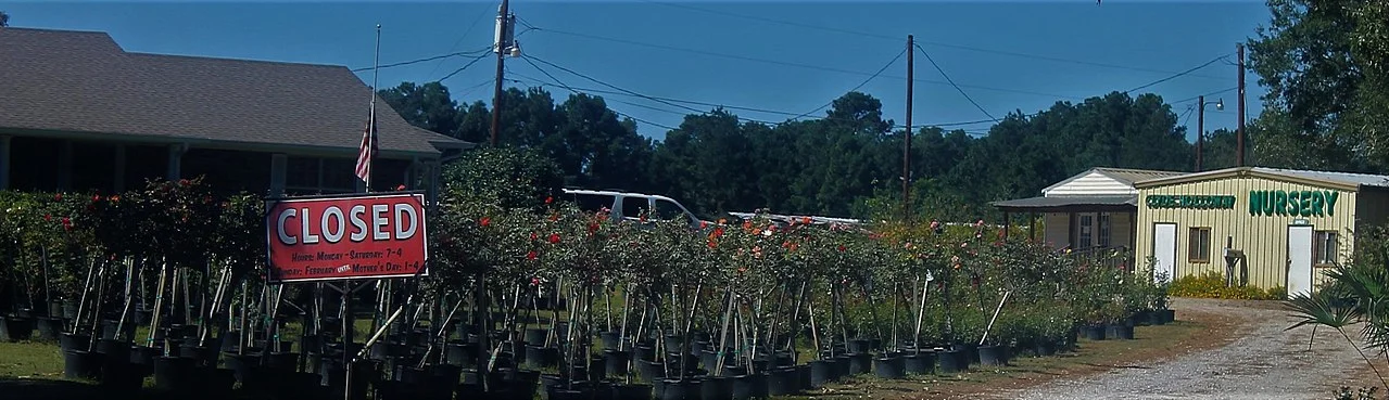 Photo of Forest Hill