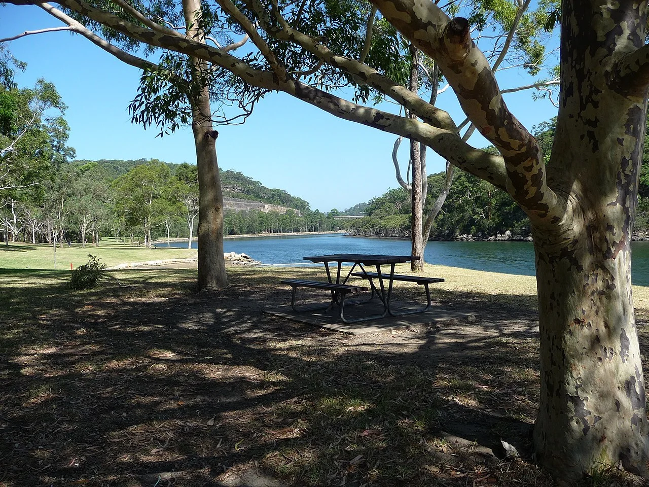 Photo of Forestville