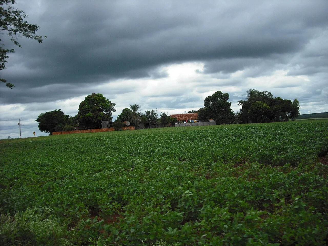 Photo of Formosa do Oeste