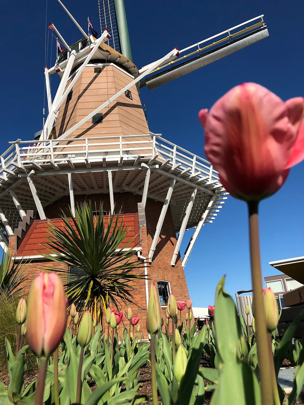 Photo of Foxton Beach