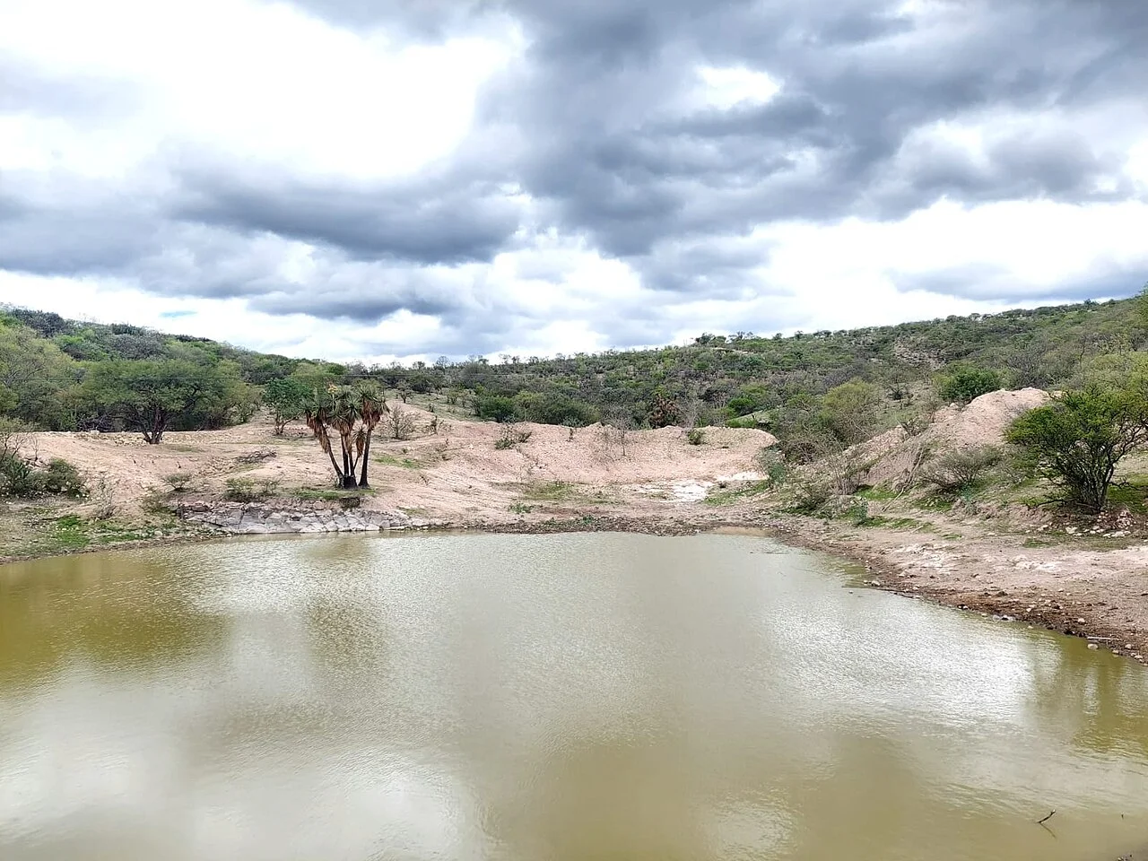 Photo of Fraccionamiento la Mezquitera