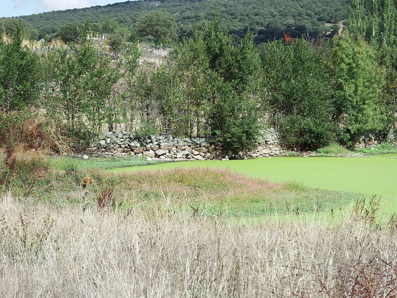 Photo of Frades de la Sierra